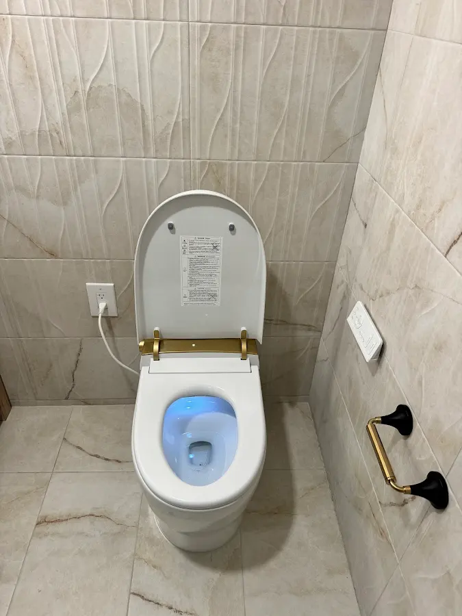 Toilet installation with marble-look tile and brass accessories